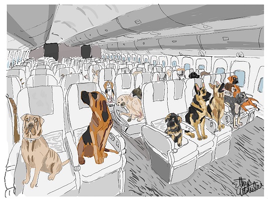 1500xdogs-in-flight-colored-signed-415dpi
